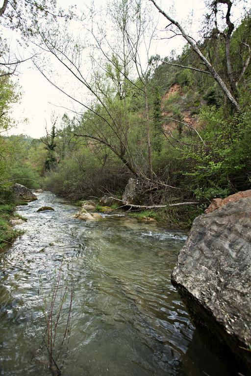 Masia Ca L'Anima Hotel La Baronia de Rialb Стая снимка