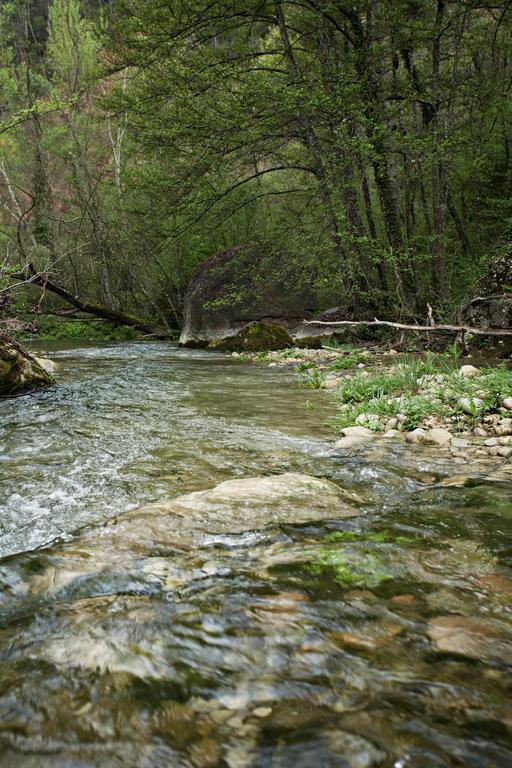 Masia Ca L'Anima Hotel La Baronia de Rialb Стая снимка